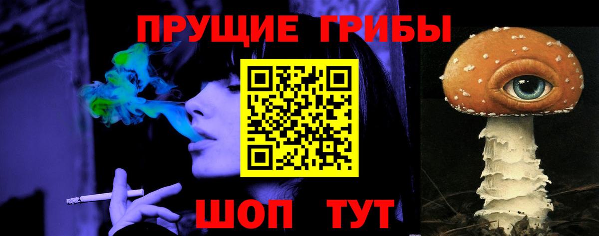 Псилоцибиновые грибы Psilocybe  Вход с VPN  Карталы 